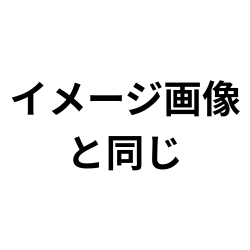 画像と同じ